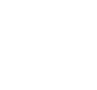 Steuerakademie Stöger Wakounig